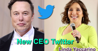 new Twitter CEO Linda Yaccarino